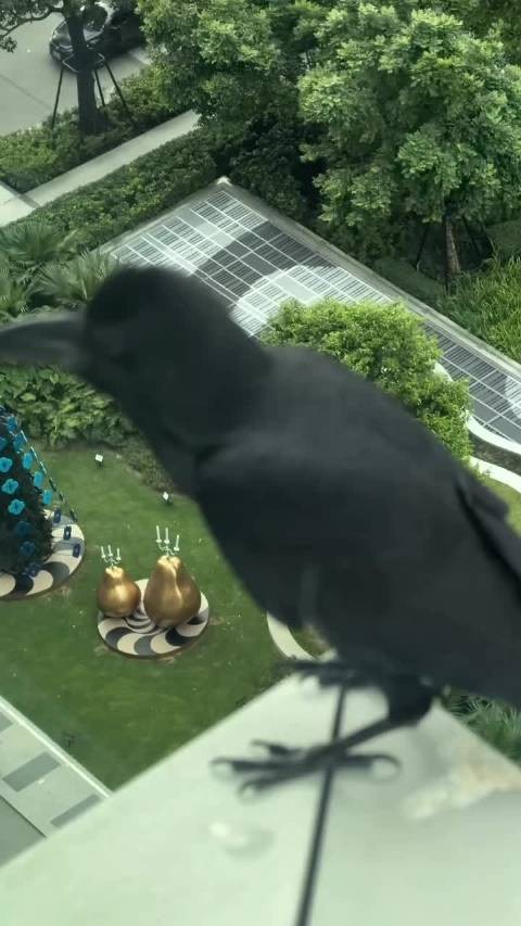 251204 @BamBam1A_王文王 IG 更新 我躺下了，突然以为我要看演唱会