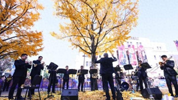 金色银杏下,倾听“冬之乐”