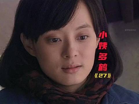 小姨多鹤：小环中风二孩被关，刚子反目多鹤撑家