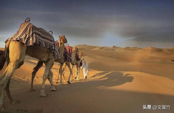 长安三万里,李白出游27年娶了4个老婆,其子孙为何平庸默默无闻