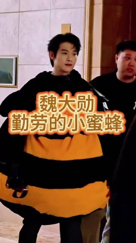 魏大勋反差魅力圈粉,孟宴臣霸总综艺萌娃切换自如