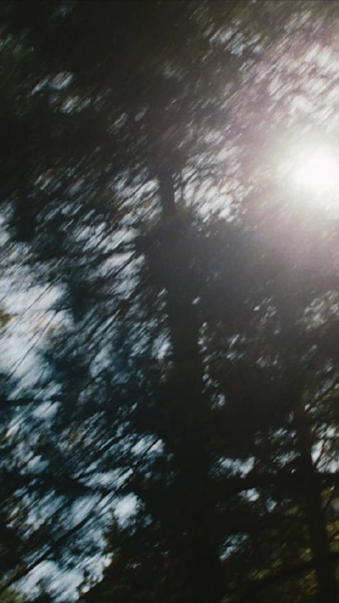 汤唯手作八宝饭迎新年,团圆年味甜意绵长