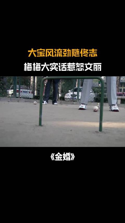 金婚:大宝风流劲随佟志,梅梅看穿区别,大实话戳文丽心窝子