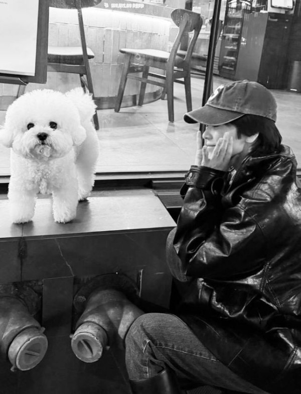 宋慧乔更新动态：与亲吻爱犬好温馨，晒幼时萌照圆脸圆眼好可爱