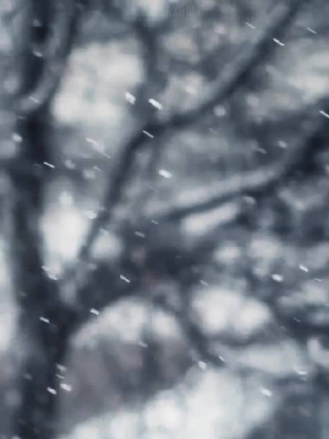 情侣雪地嬉戏湿鞋袜,男友吹头时甜蜜亲吻