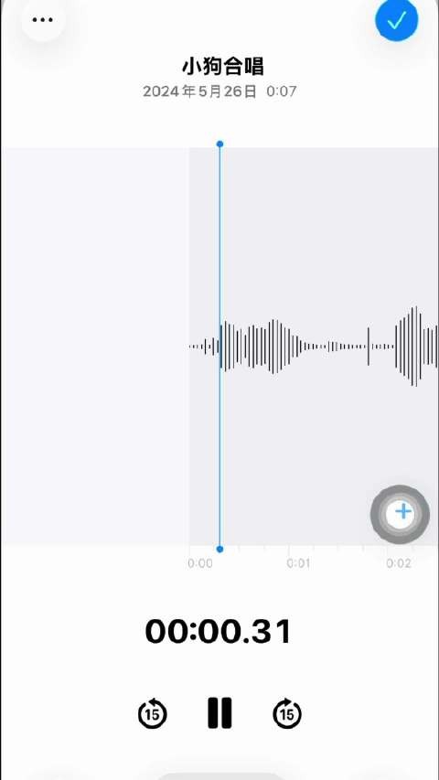 小狗就这样乱入我的每一段生活