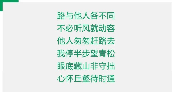 路与他人各不同，不必听风就动容——2025西泠秋拍之雅昌全平台参与数据