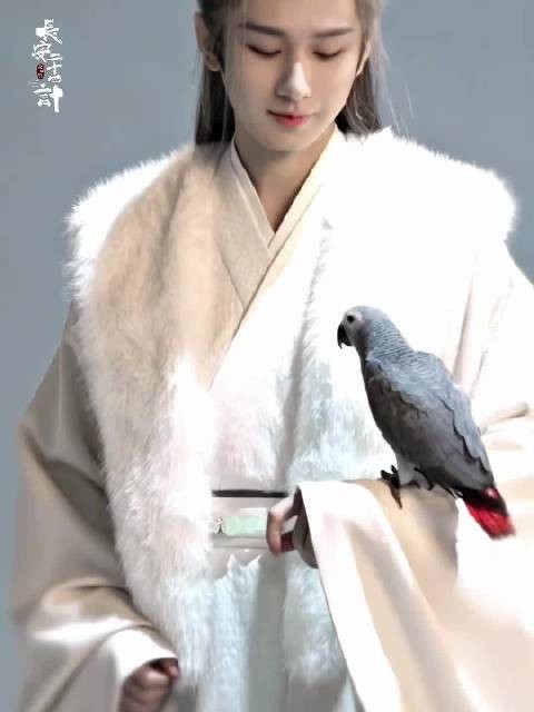 长安二十四计回应成毅：此局落定，初心如磐