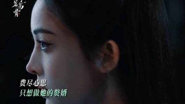 荣善宝吐槽贺星明皮鞭抽不醒