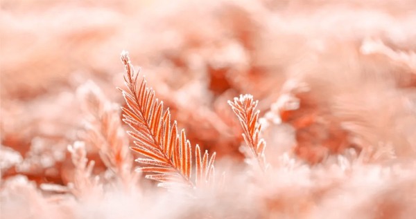 老子最厉害的五种思维，简单易懂，看完受益匪浅