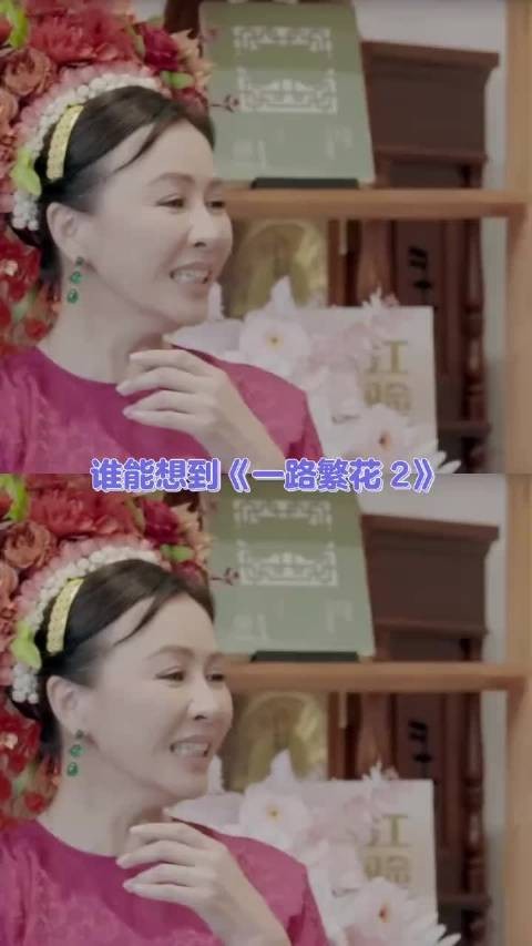 从针锋相对到惺惺相惜，嘉飞猫的情感走向藏着最珍贵的相处智慧