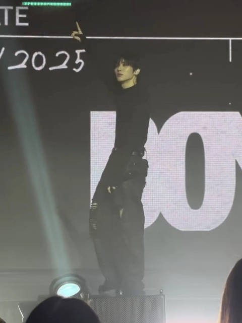 身高183的瘦长小黑猫