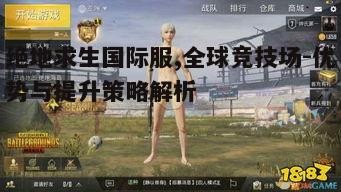 一、绝地求生国际服概述