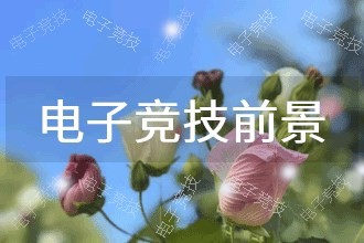 2026年电子竞技发展前景 趋势预测