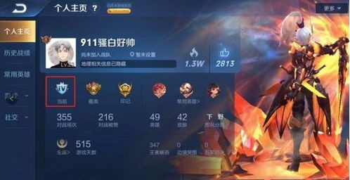 王者荣耀骚白视频:技巧、赛事与粉丝文化