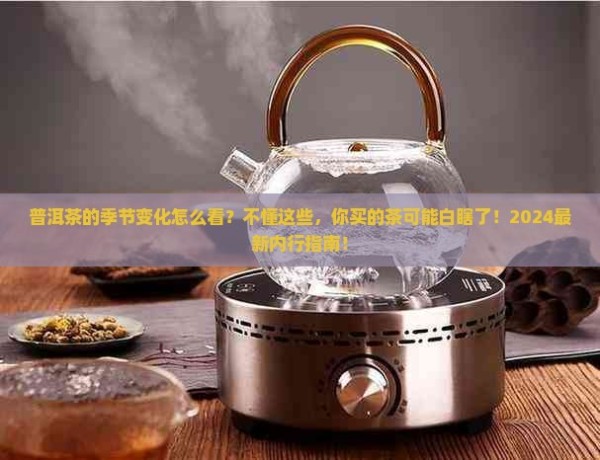 普洱茶怎样看季节的变化