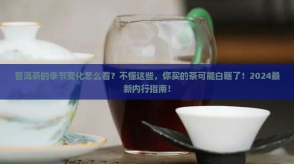 普洱茶怎样看季节的变化