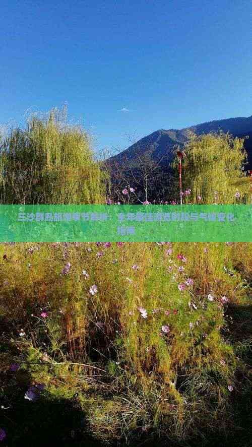 三沙群岛旅游季节解析:全年更佳游览时段与气候变化指南