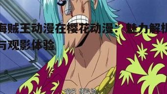 一、海贼王的独特魅力