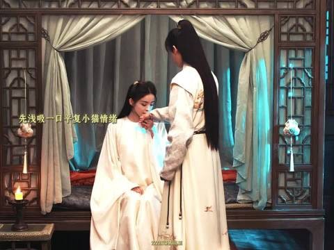 陆江来茶艺成情侣默契游戏