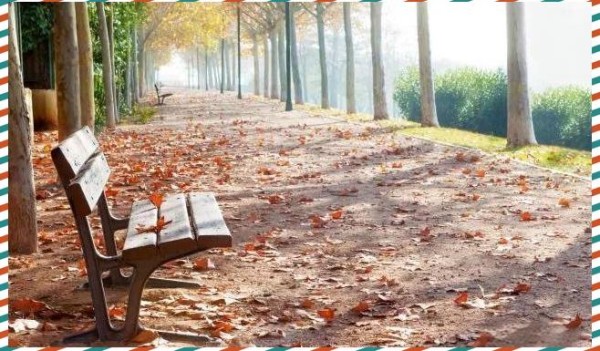 阅读的乐趣、影响与习惯养成