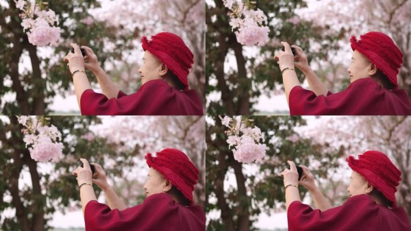 老年快乐<a target=