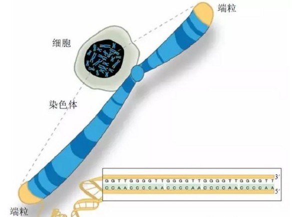 老年人幸福生活的五大标准与实践