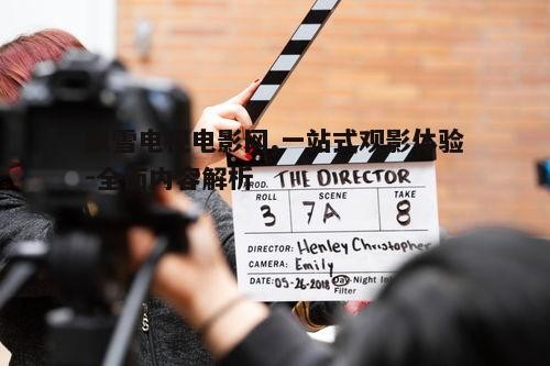 一、飘雪电视电影网概述