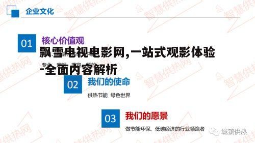 二、飘雪网的核心功能