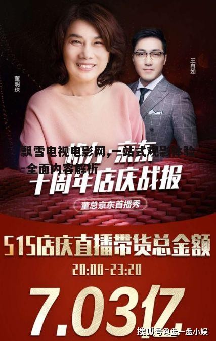 三、如何高效使用飘雪电视电影网