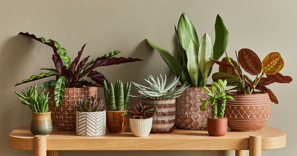 Selección de los mejores libros de jardinería