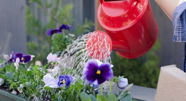 Lectura y herramientas de jardinería para aficionados y expertos