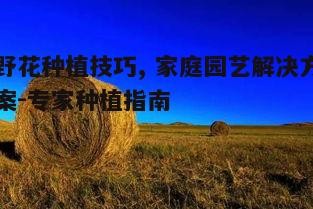 三、播种与养护