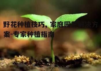 二、土壤准备与施肥