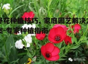 一、选择适合的野花种类