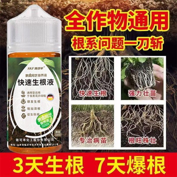 想拥有私家小菜园却不知从何下手？这套从生根到丰收的全能园艺方案，让你轻松打造属于自己的绿色蔬菜天堂