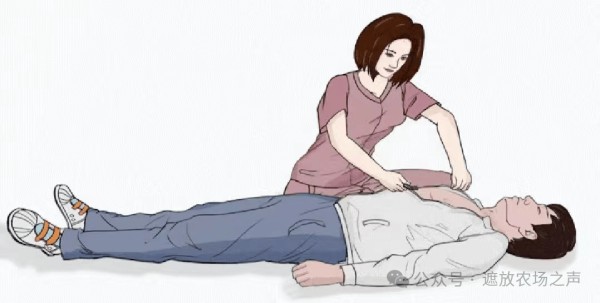 从0到1掌握应急技能，关键时刻自救不慌张