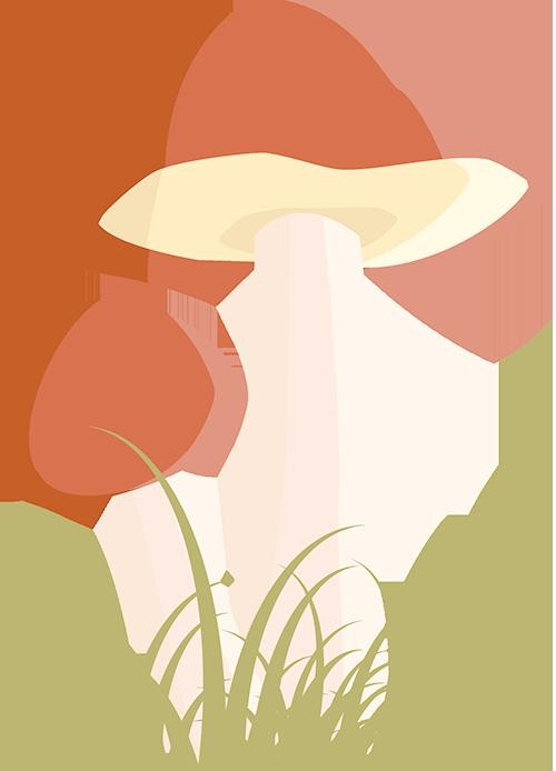 幼儿园木工坊:激发创造力和探索欲的创新天地