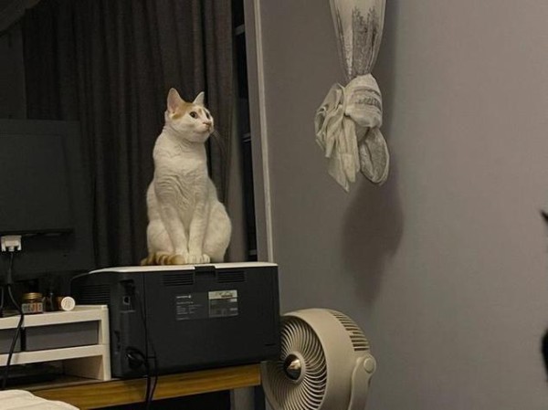 从共鸣到创意：一周工作中的意外收获