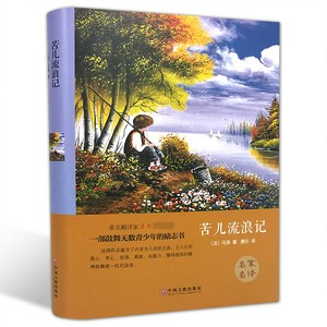 苦儿流浪记(精装版)【青少年读物】【经典儿童文学书籍】适合10