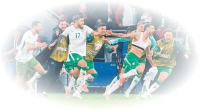 爱尔兰男足国家队球员庆祝比赛胜利。