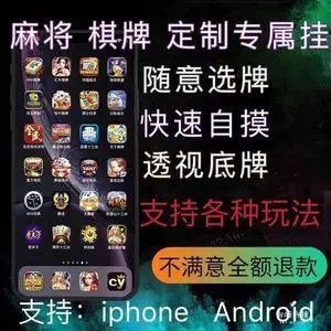 蚂蚁众娱牛牛挂怎么买(未来昭通麻将挂在哪购买)