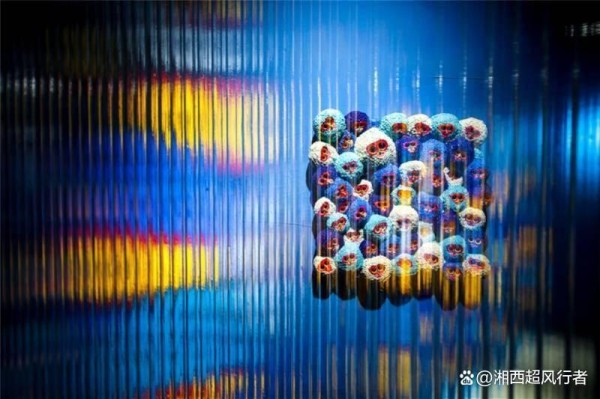 艺术与娱乐有区别吗