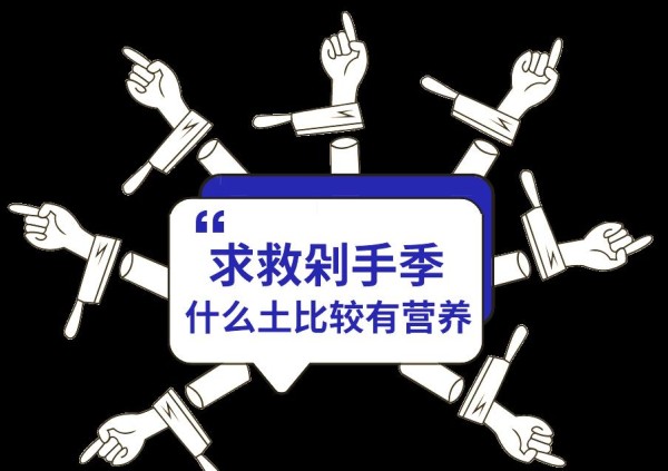 双十一购物狂欢：心理剖析与理性消费策略
