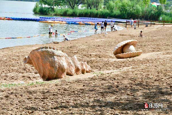 夏天户外湖边游玩沙滩海螺贝壳