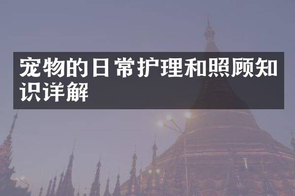宠物的日常护理和照顾知识详解