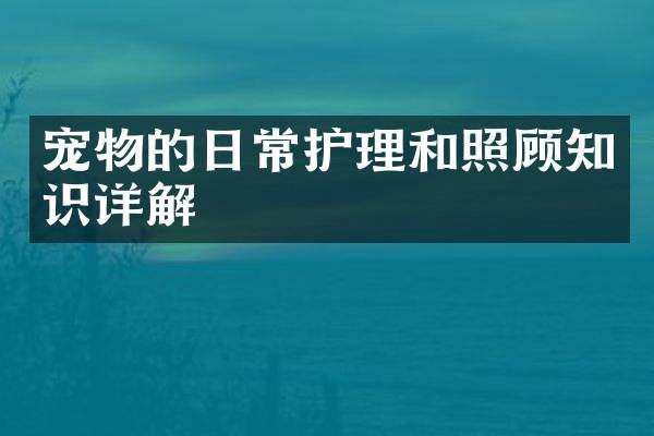 宠物的日常护理和照顾知识详解