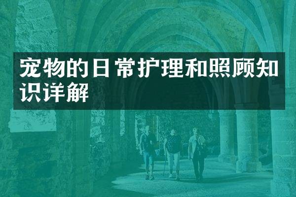 宠物的日常护理和照顾知识详解