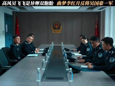 高风吴飞飞是异卵双胞胎,曲梦李红月反将吴国豪一军