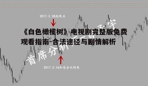 四、深入解析剧中的情感走向